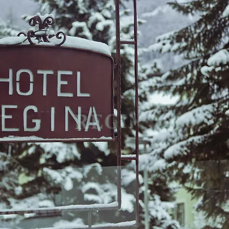 Hotel Regina Boutiquehotel 4*