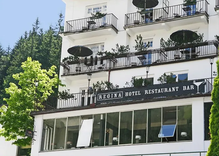 Hotel Regina Boutiquehotel 4*